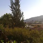 Pelekanos 피조우리